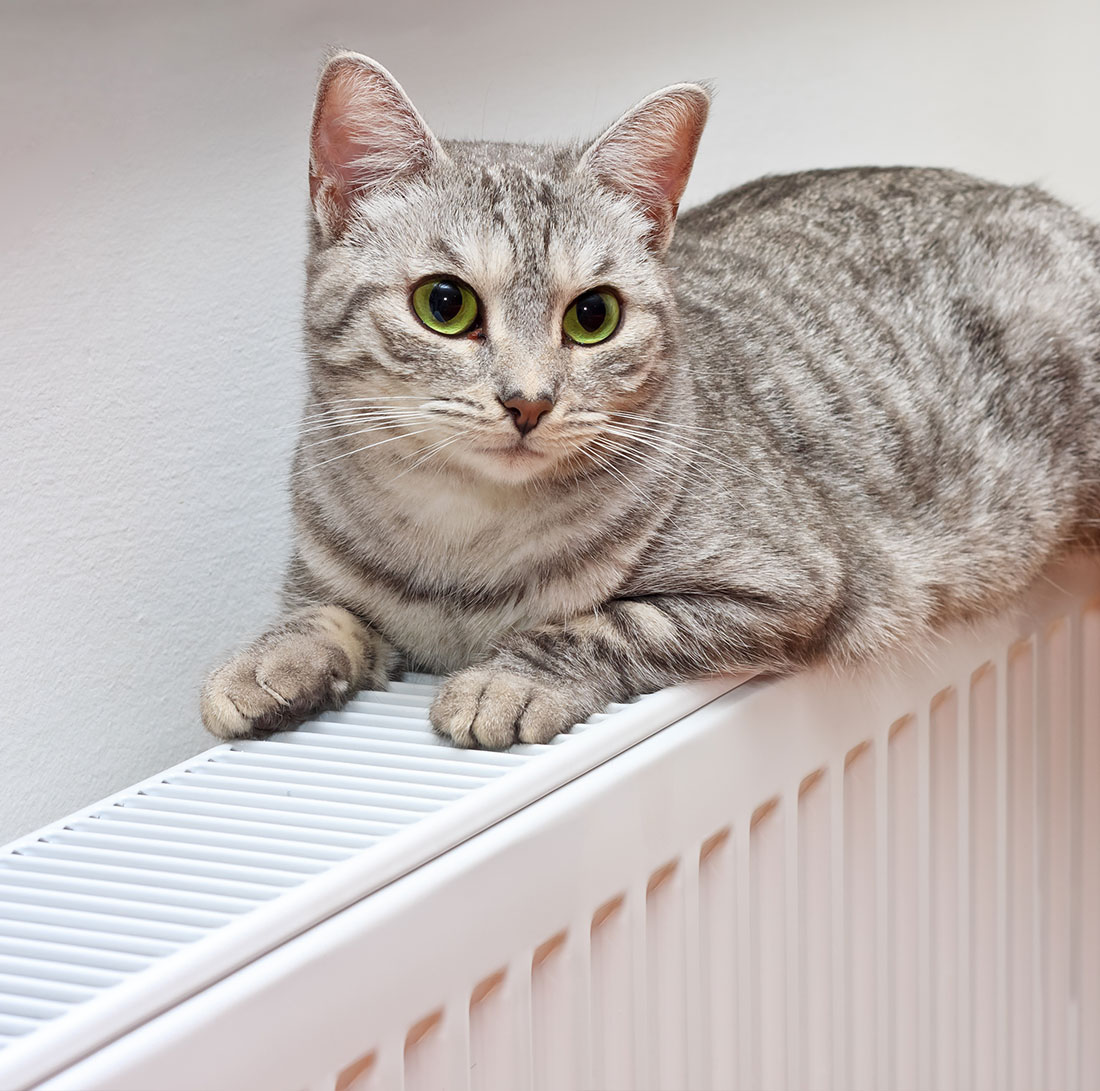 上海明装暖气片安装免费报价免费设计