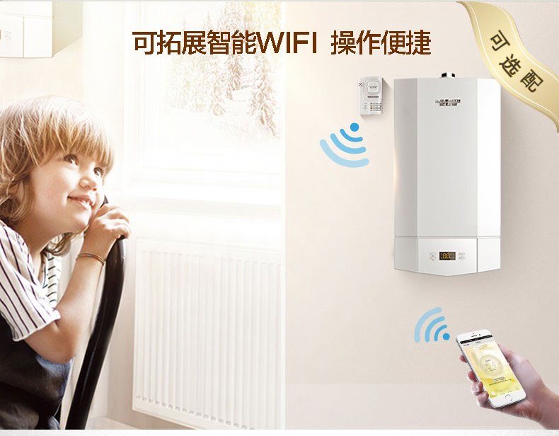 A.O.史密斯热源系统L1PB-V3型号燃气采暖/热水两用炉